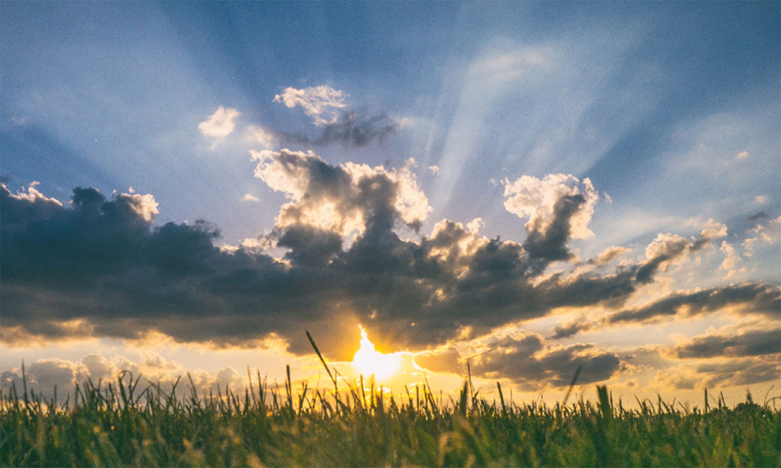 A veil of false sunshine