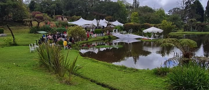 The Bvumba Botanical Gardens, a symphony of colour and fragrance