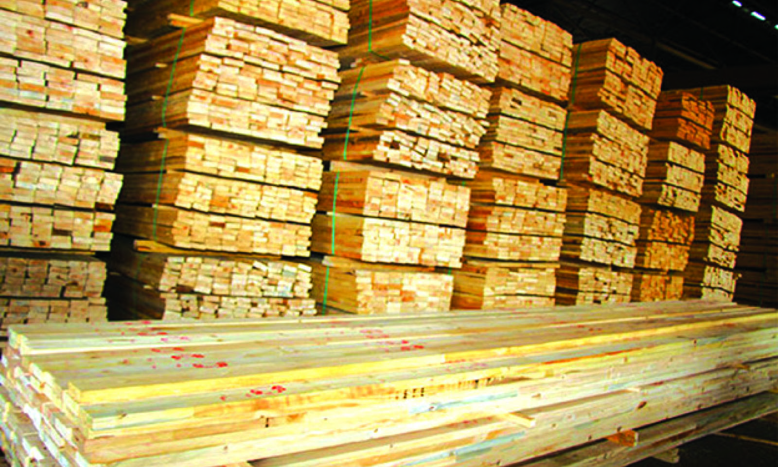 Timber industry faces a generation-long deficit