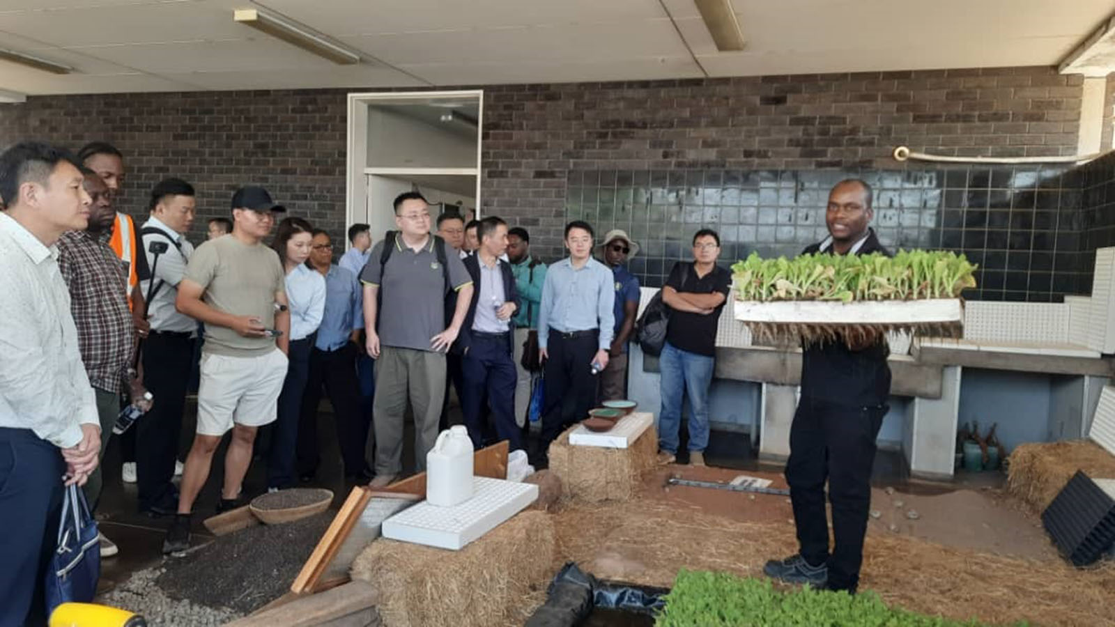 Tobacco expo to discuss innovative solutions for industry