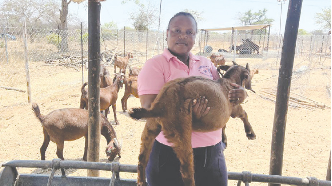 Diaspora family drives rural industrialisation through integrated farming