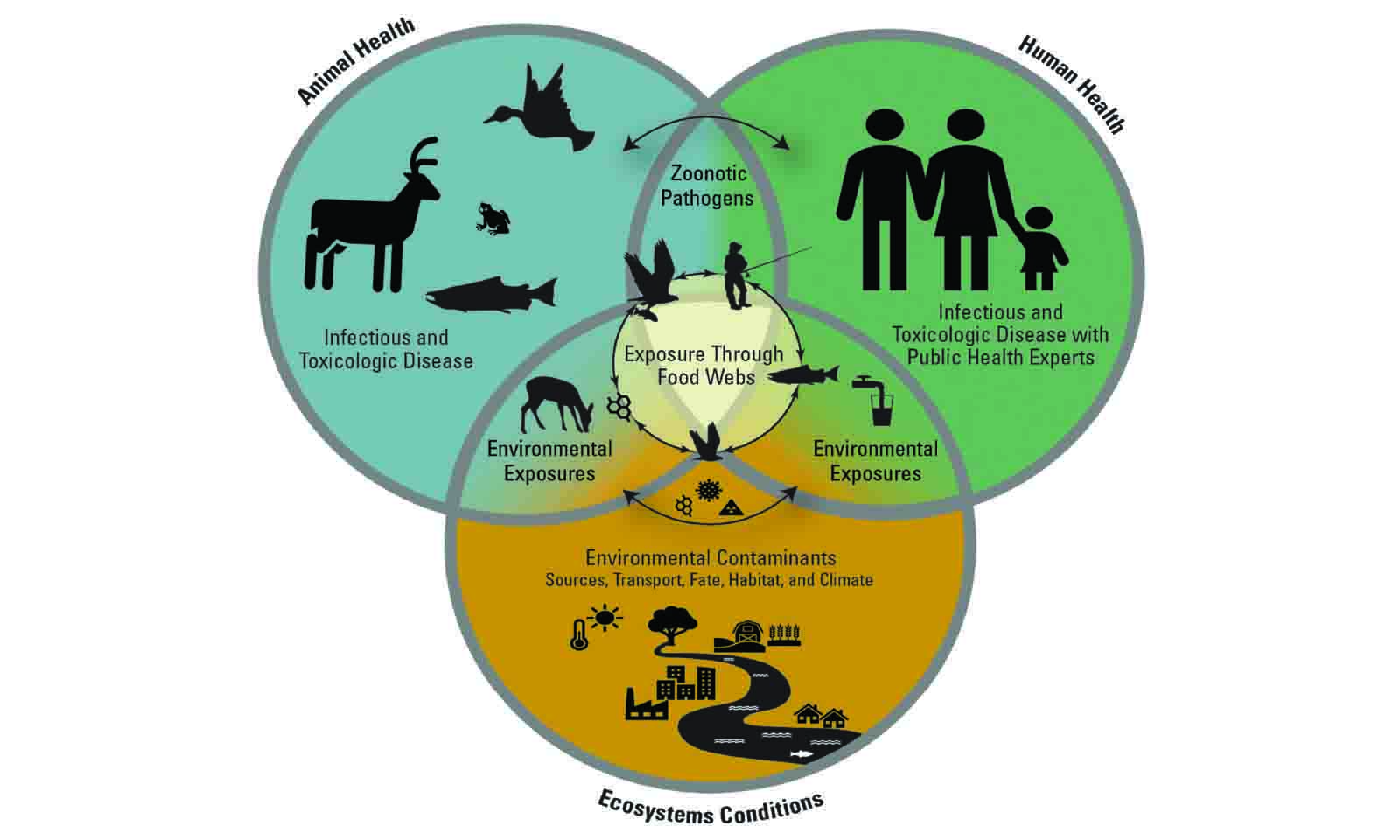 Understanding Zimbabwe’s One Health Strategic Plan