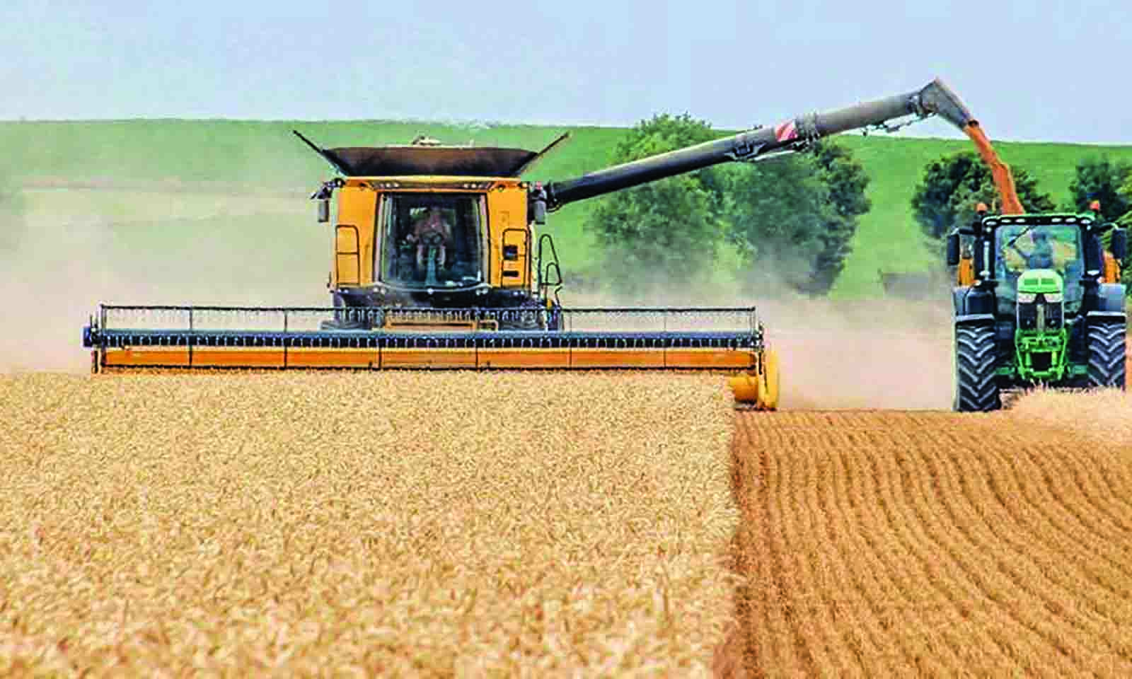 ‘Expedite wheat harvesting to avoid damage’