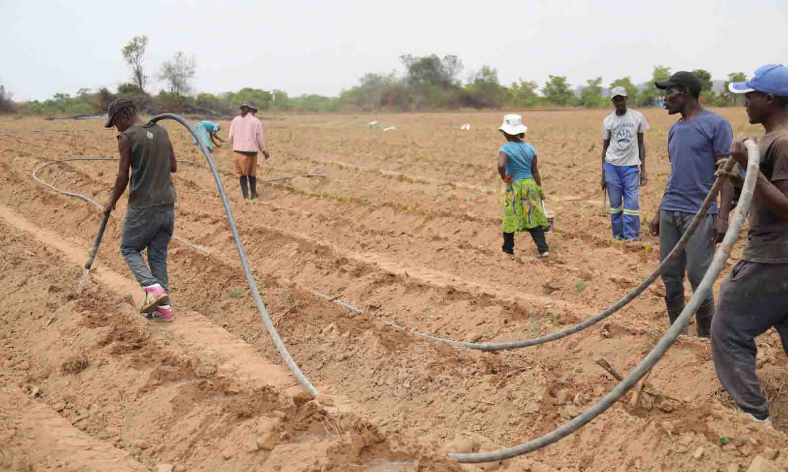 Erratic rains expose fragility of rain-fed agriculture