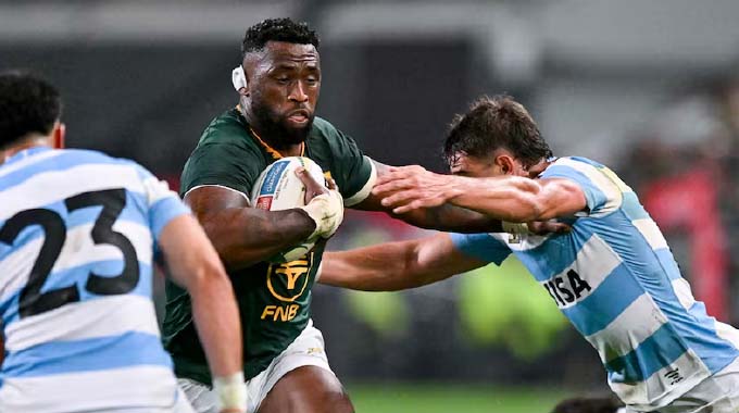 Wounded Pumas will come out fighting, Kolisi cautions Boks