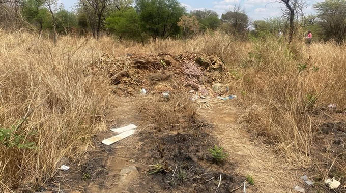 ‘WE’LL NAME AND SHAME!’ Netizens applaud Coltart’s swift action on rubble rat