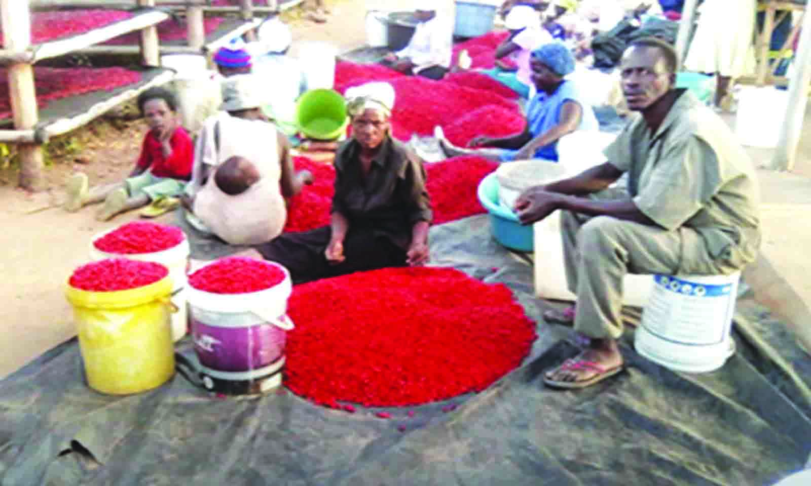 Land reform, agrarian pact and new eco-social contract for Zim