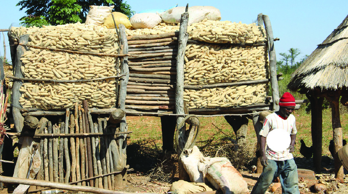 Cereals output below estimate but secures modest surplus