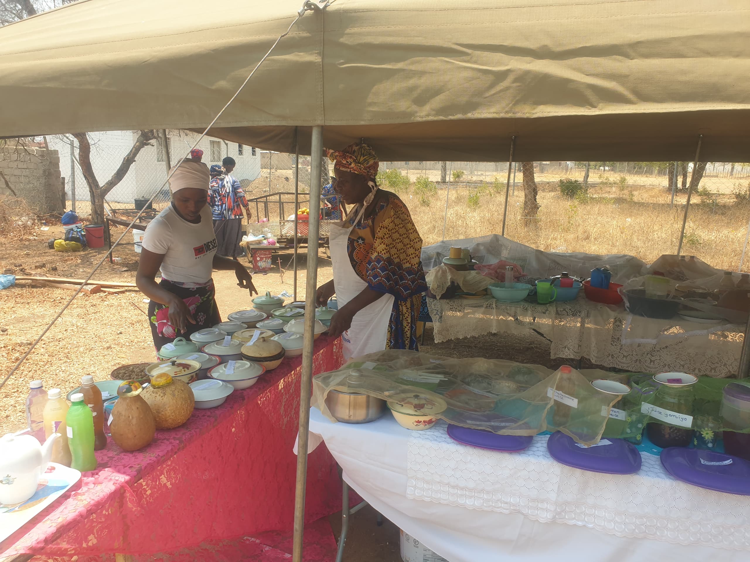 Tsholotsho hosts second Good Seed and Food Festival to celebrate traditional agriculture