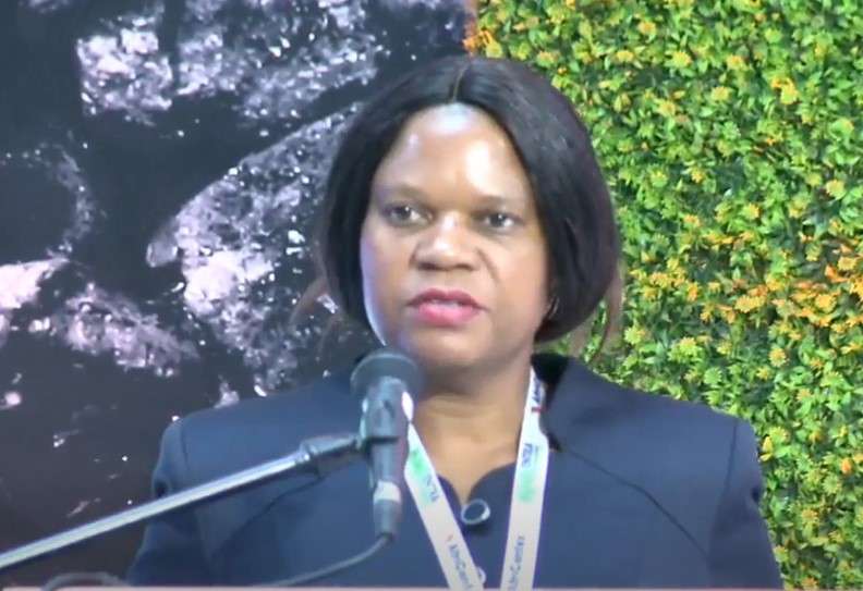 ZAWIMA bemoans information gap for women miners