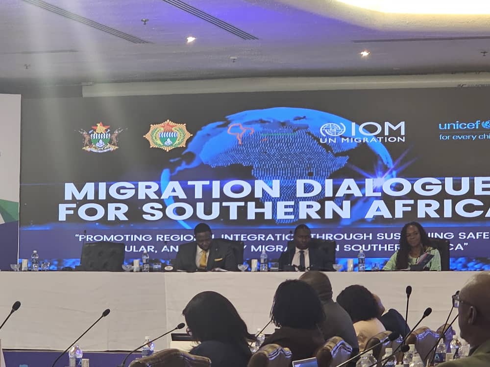 Ministers lead migration dialogue in Victoria Falls