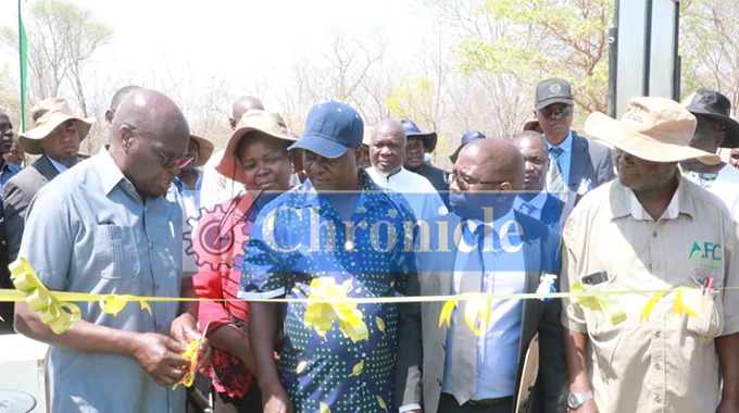 WATCH: US$200 000 electrification project commissioned in Binga