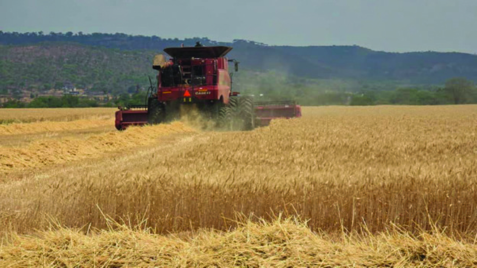 Farmers ready for summer cropping
