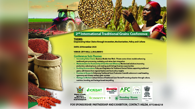 Partnership plants seeds of prosperity in Chiredzi… as traditional grains seed multiplication boosts income for Nyangambe community