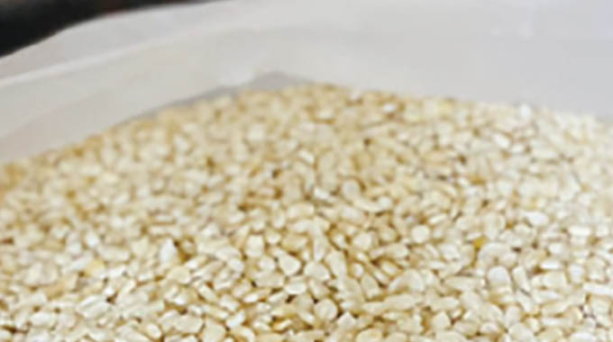GMAZ, Arda ink major grain deal