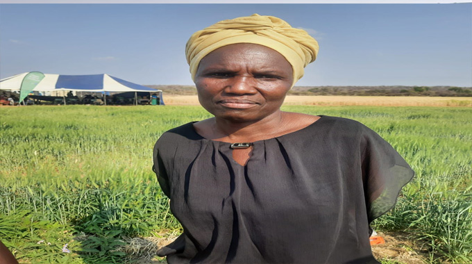 Private sector linkages a ‘game changer’ for irrigation farmers. . . Guaranteed markets, higher incomes beckon