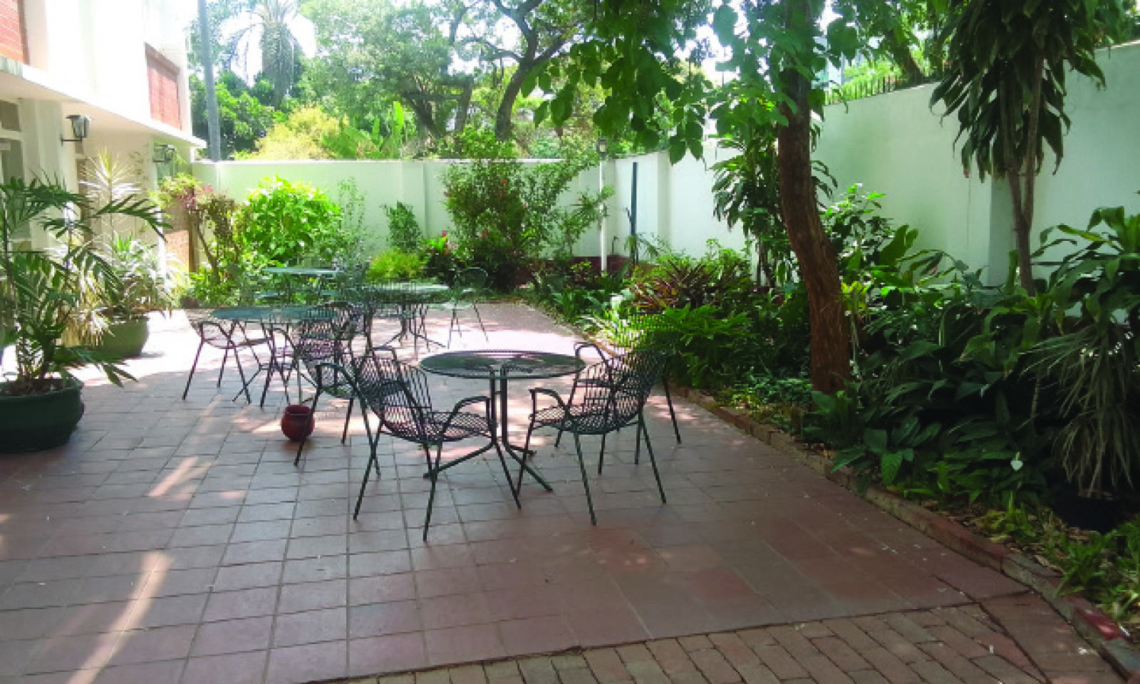 Creating a tranquil, stylish green space
