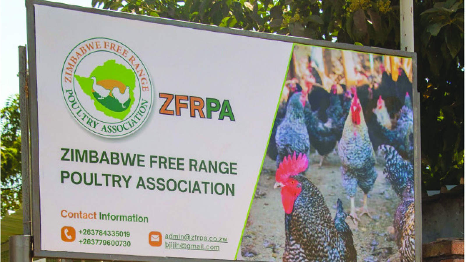 ZFRPA celebrates decade of transforming poultry farming