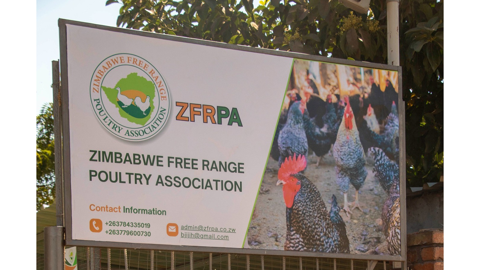 Zimbabwe Free Range Poultry Association celebrates 10th anniversary