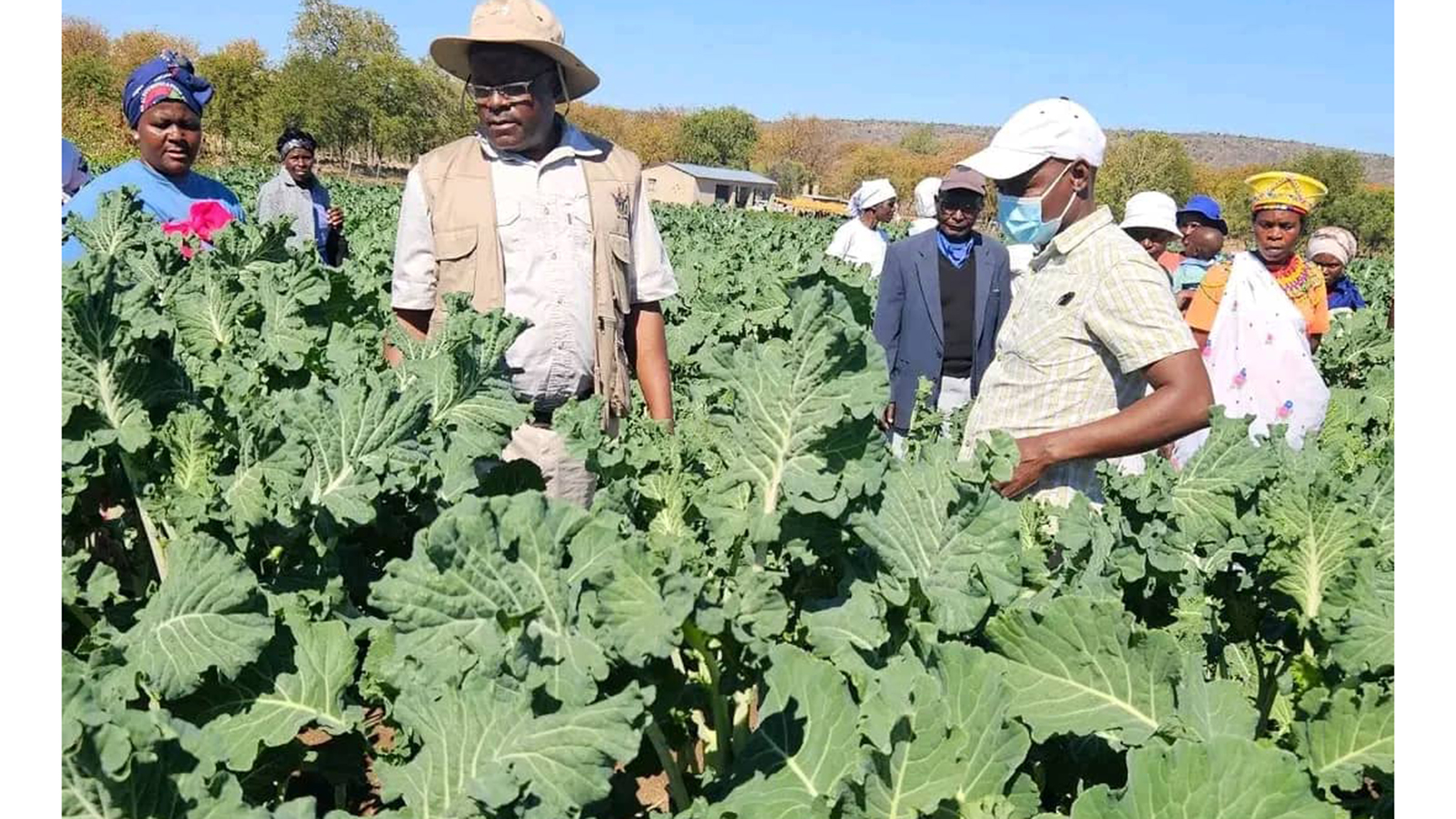 VBUs can industrialise rural communities