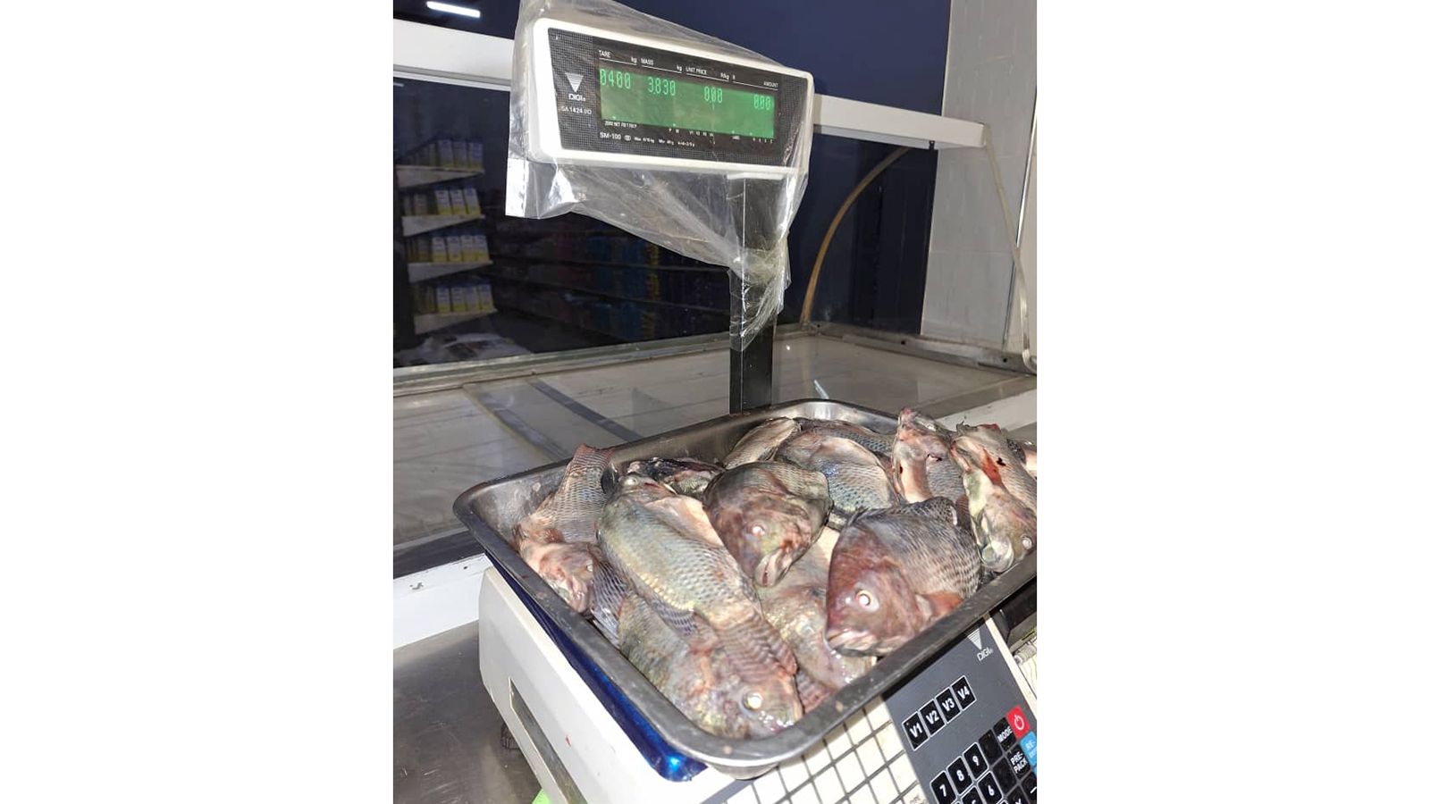 Doma farmers reap benefits from nutrition garden, fish farming