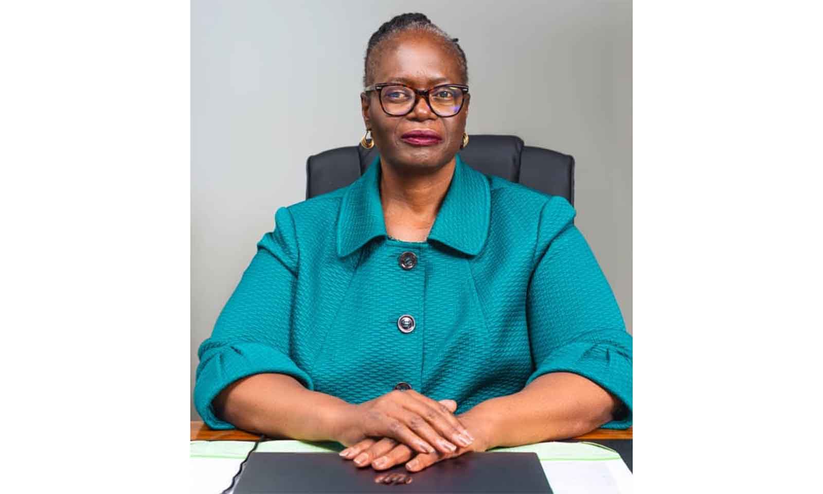 Zimbabwe launches drive to reclaim diaspora skills