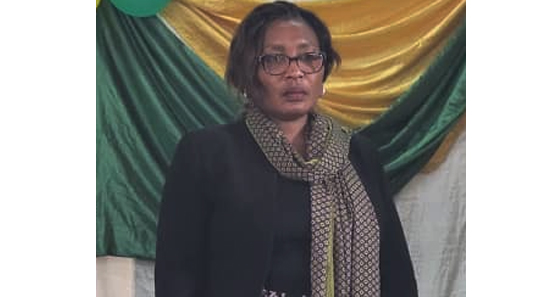 APRM mission lauds Zim economic resilience
