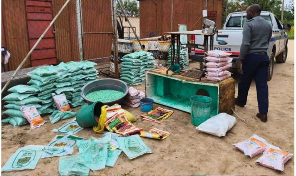 For the average farmer who invests in land preparation, fertiliser and labour, fake seed can wipe out an entire season’s work