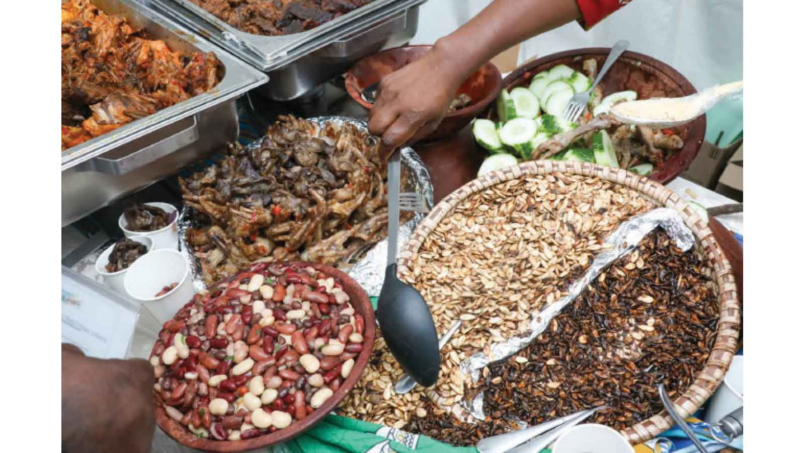 New laws to curb junk food consumption on the cards