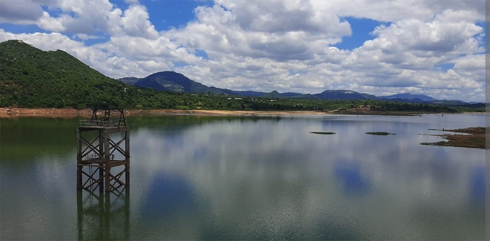 If you love nature, Mupudzi Dam rewards you generously
