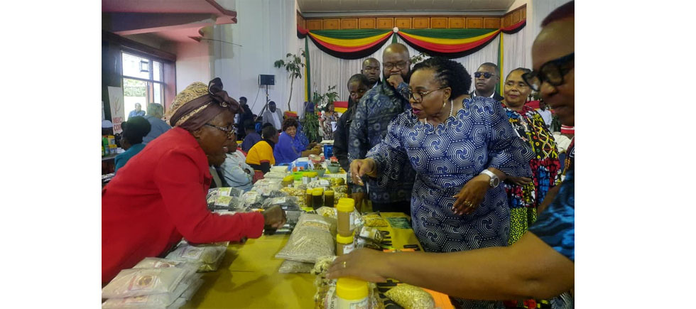 Minister Mutsvangwa tours Mrs Joice Nyandoro's exhibition stall