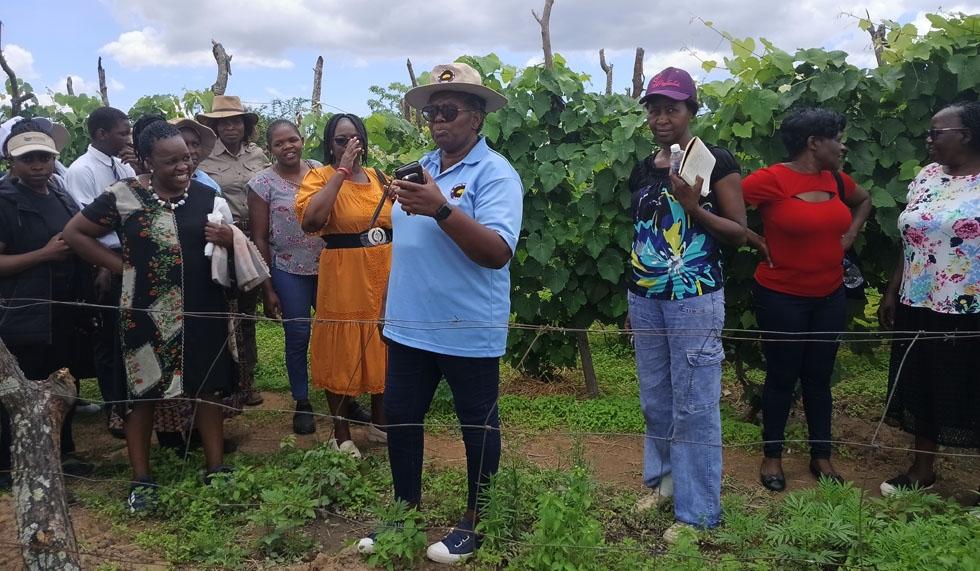 Seeds of change: Women cultivating success