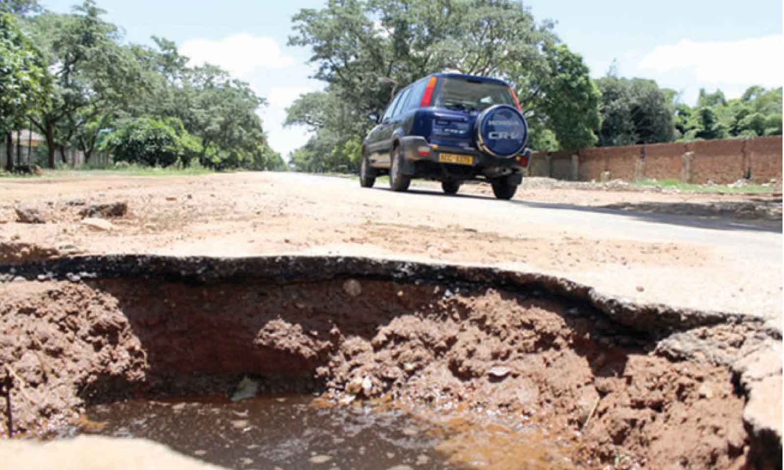 Government assures wildlife protection amid Bulawayo-Victoria Falls Road upgrade