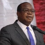 FINANCE, Economic Development and Investment Promotion Minister, Professor Mthuli Ncube