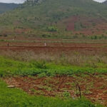 Residents in Chikanga carrying out farming on undesignated land