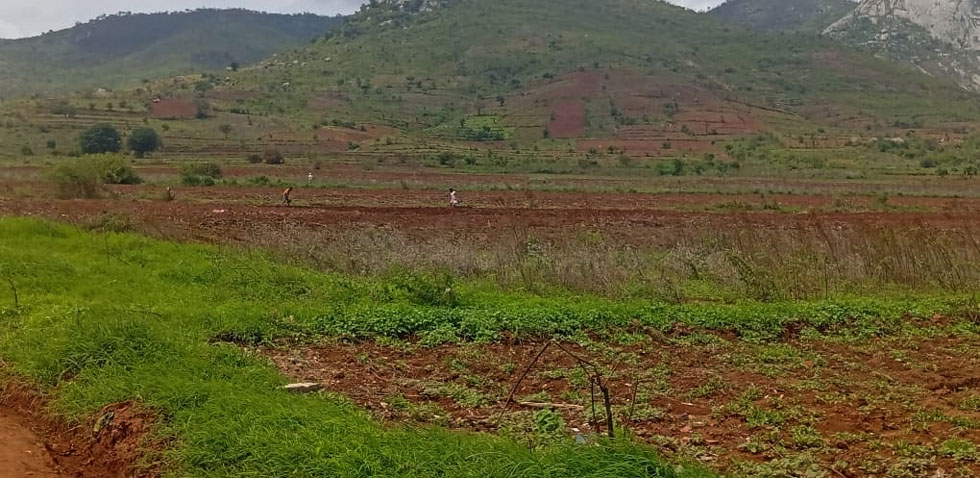Farming in undesignated areas sprout, again