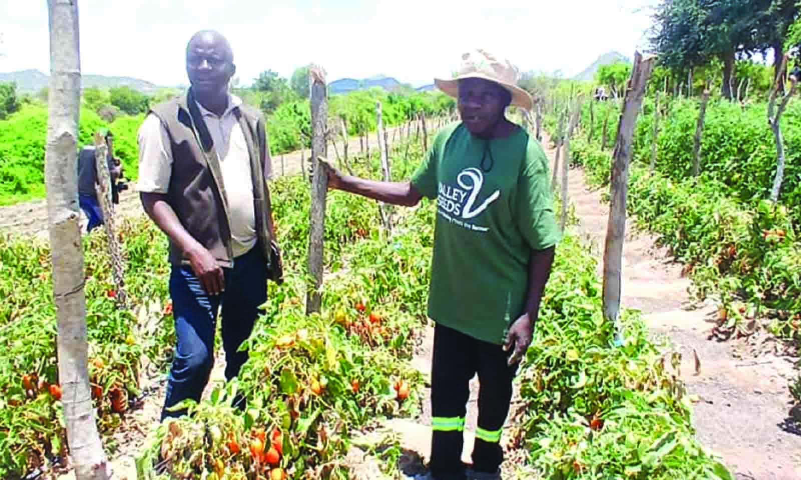 Farmer’s successful venture earns him recognition