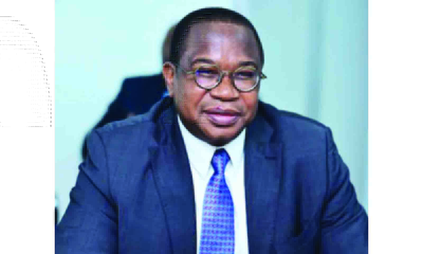 Portfolio committees’ demands exceed ceiling: Mthuli
