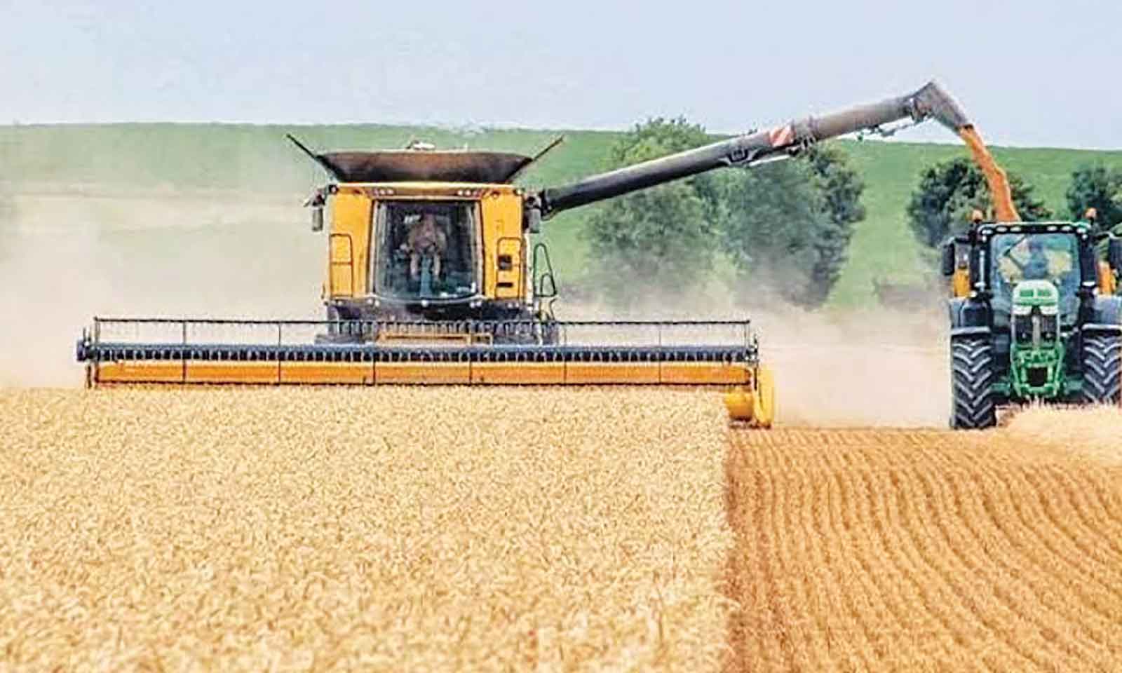 New law mandates 40pc local sourcing for grain processors