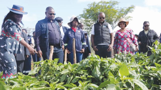 Jairos Jiri to attain food security with improved VBU