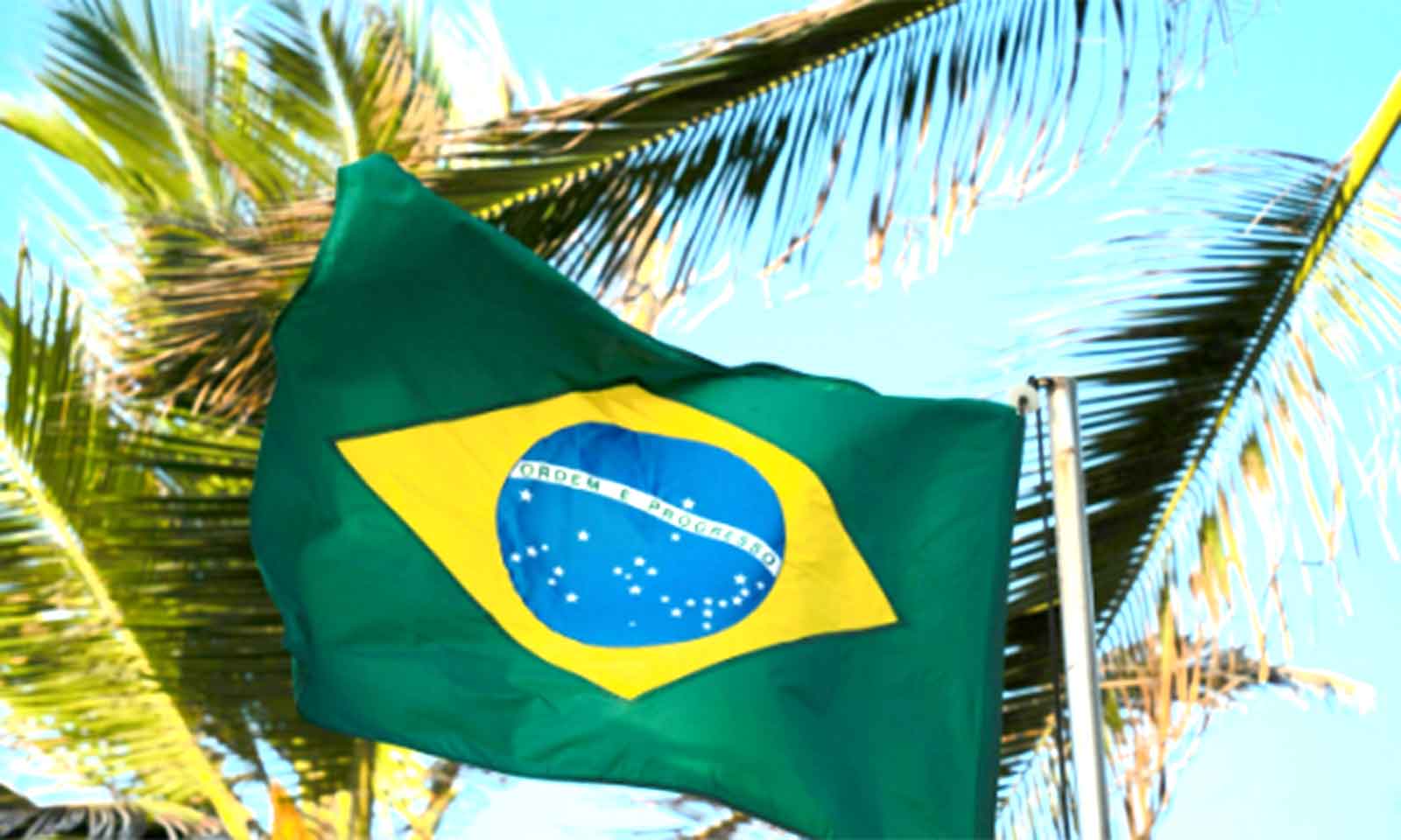 Brazilian G20 pilots forced to walk to their hotel after ‘not paying’ sex workers