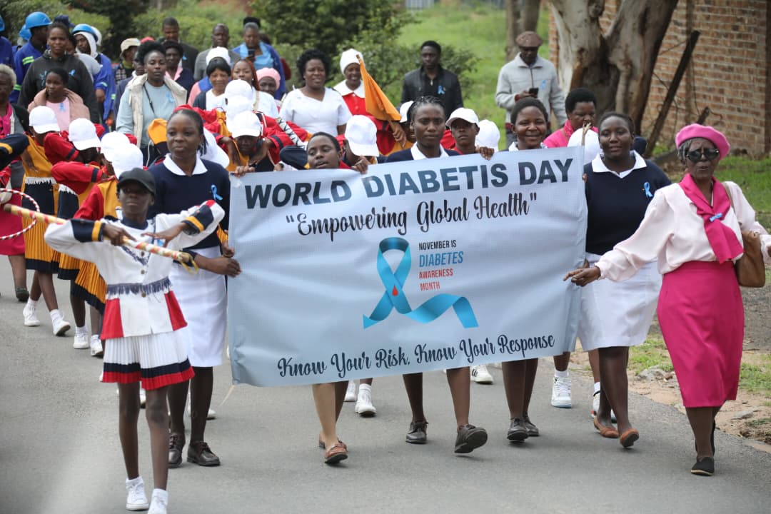 Zimbabwe expands diabetes care as nation marks World Diabetes Day 2025