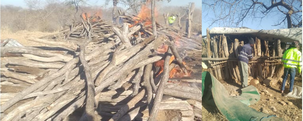 Hwange Local Board demolishes illegal kraals in crackdown on stray livestock