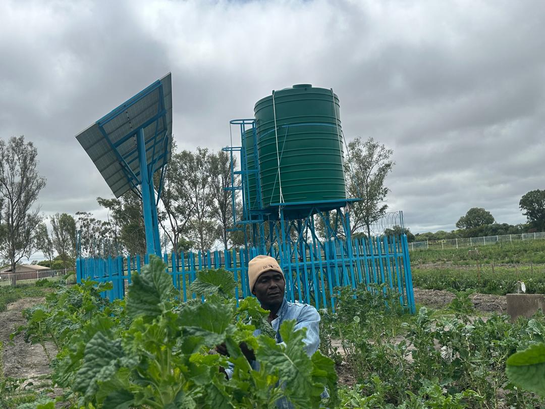 Solar-powered borehole revives Lobengula garden, transforms 91 families’ lives