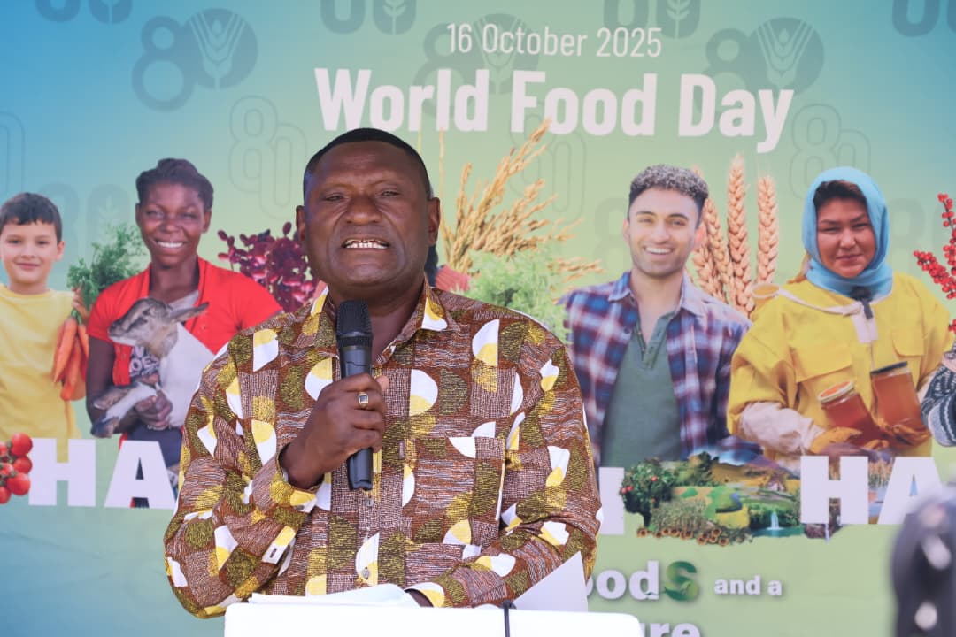 Traditional grains, climate-smart agriculture drive Mat South to food security