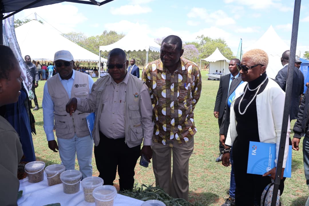 Zimbabwe retaining regional breadbasket status