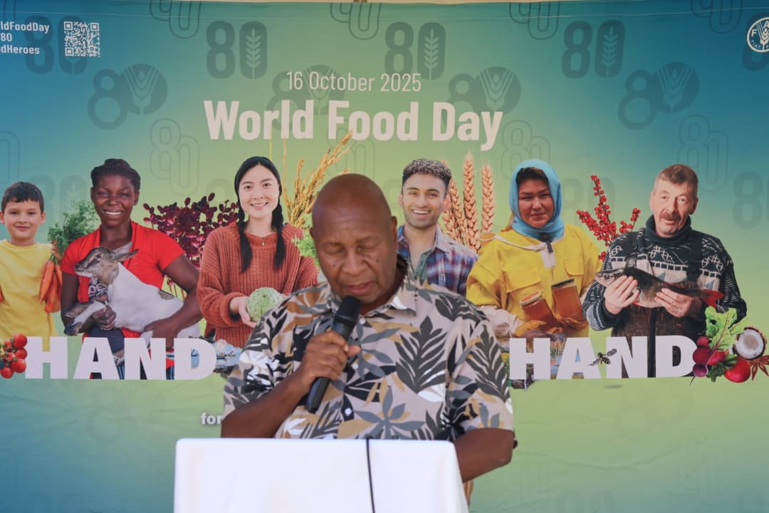 Food is dignity, peace and opportunity — Government, UN agencies say