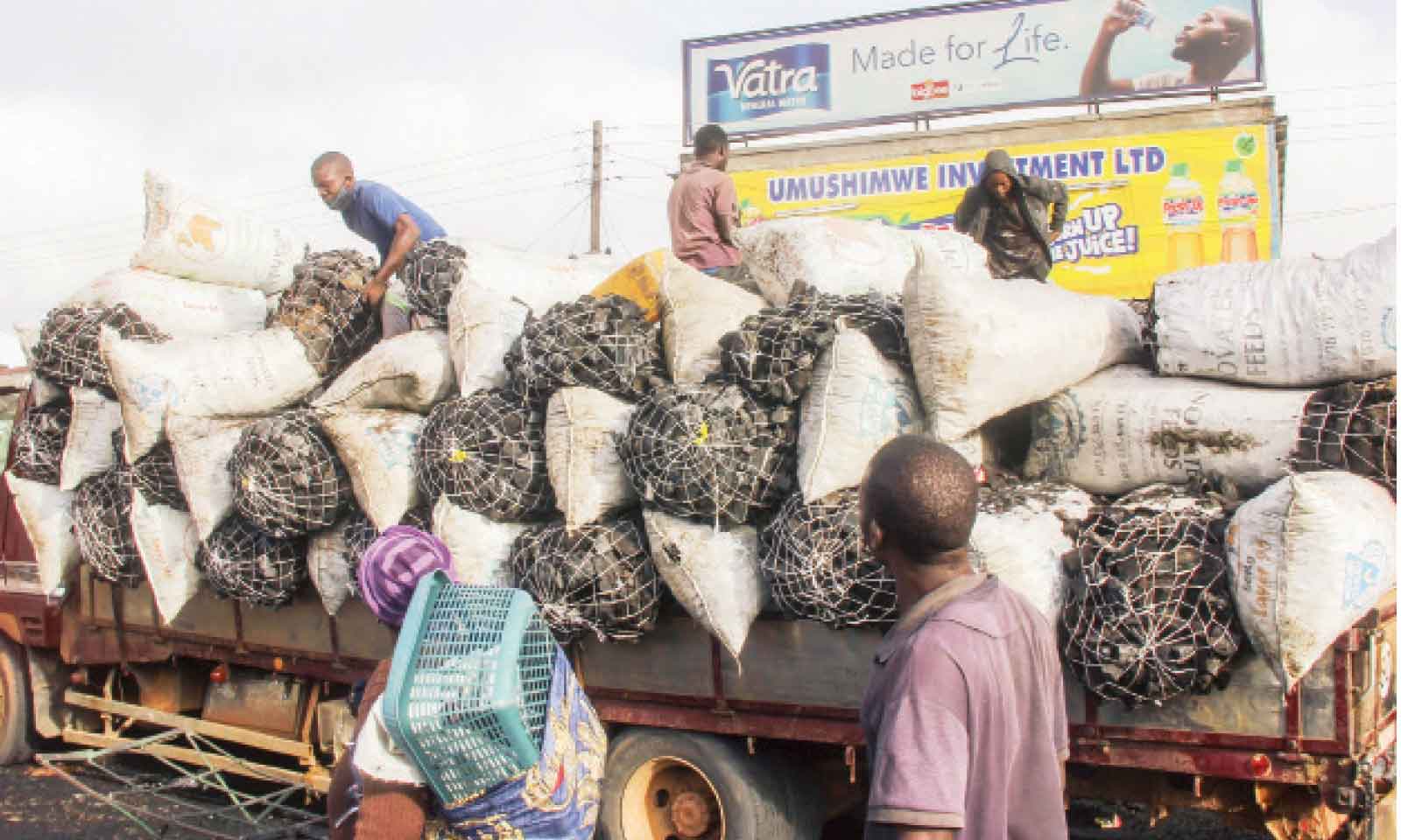 Zambia’s forest communities need finance for solar power