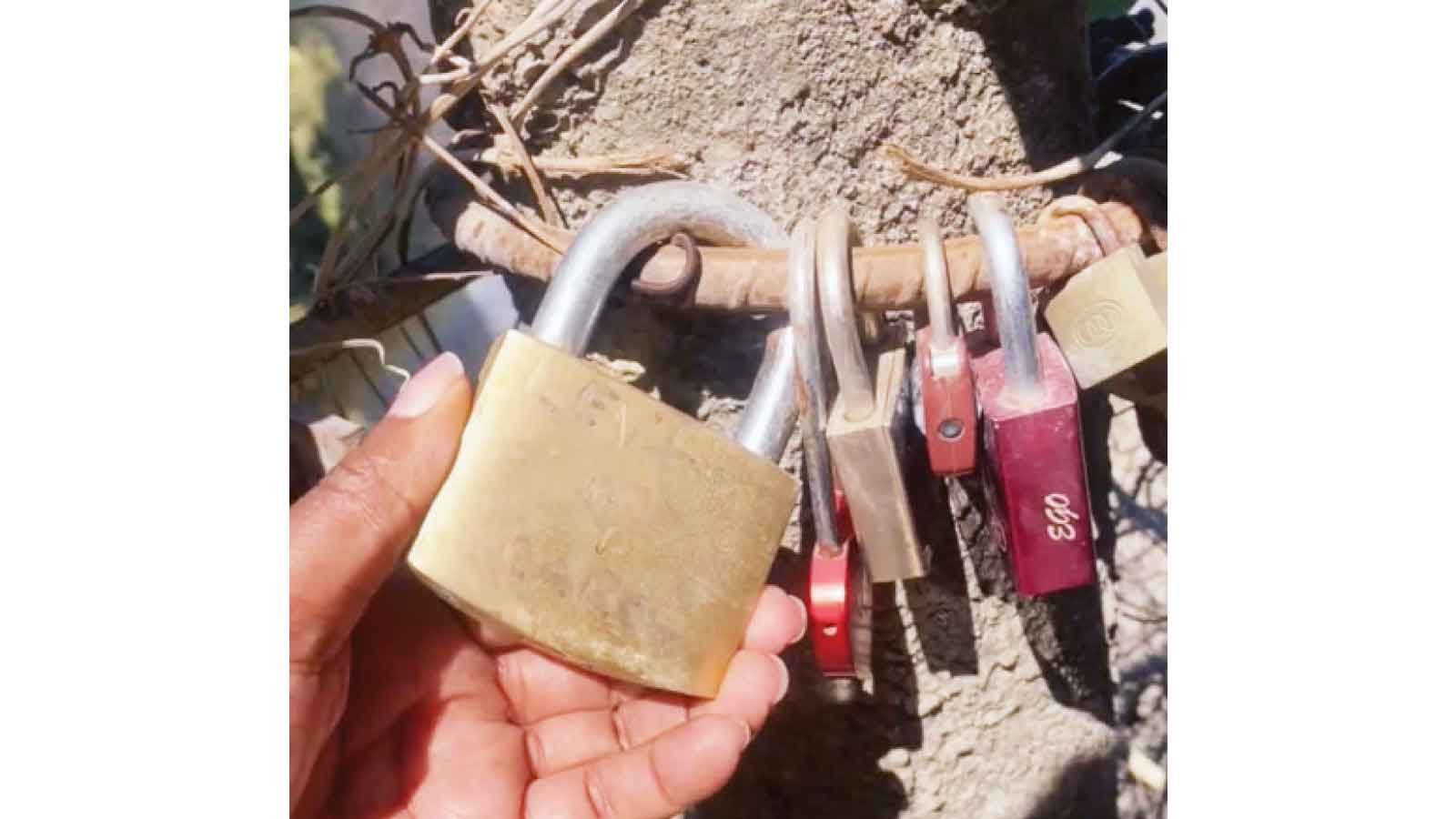 Love locked: A new ritual in the mist of Victoria Falls