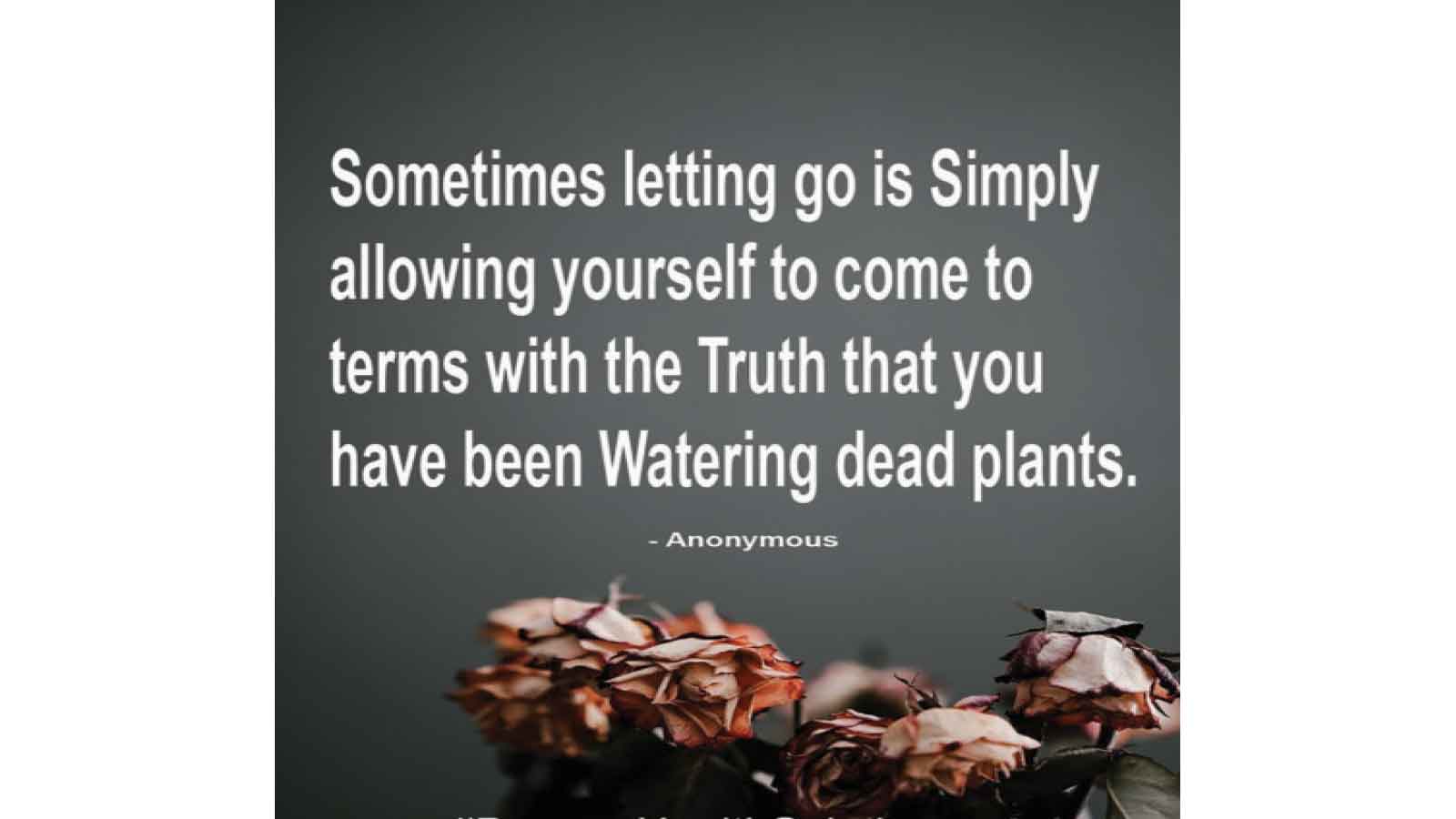 Stop watering dead plants